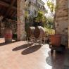 images/SS/Evento Bellaria-25.jpg